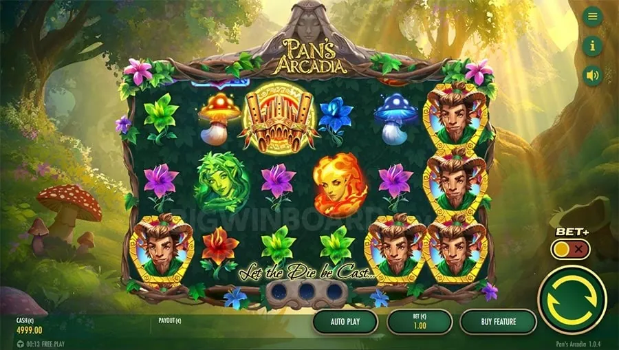 bingoplus Cashback Offer