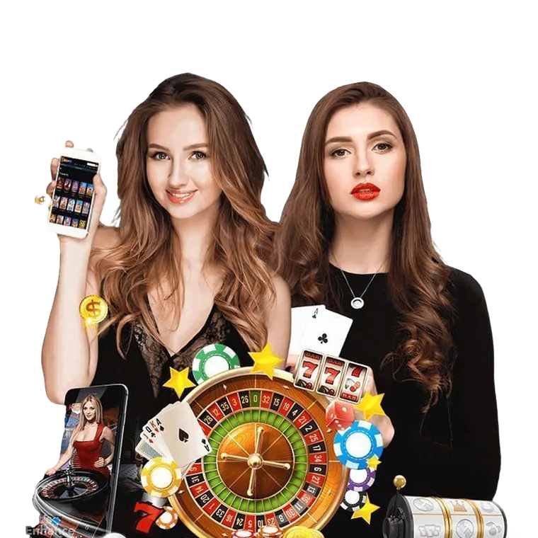 Live Casino Action with Bingoplus